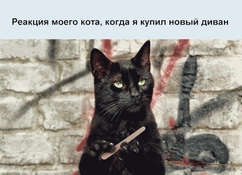   - 29  2015  00:30