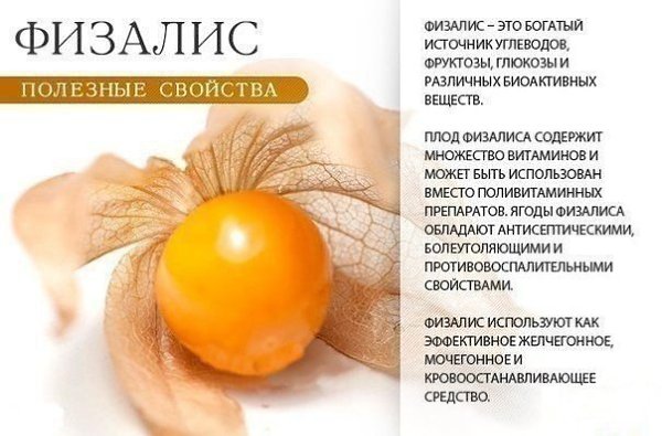   .   vk.com/ranks - 6