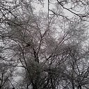  ,  -  15  2015   
