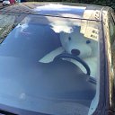 ���� ����, �����, 49 ��� - ��������� 19 ������� 2014