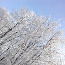 ���� Valka, ������, 63 ���� - ��������� 30 ������ 2015 � ������ ���� ����������