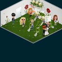 ���� ����, ��������� - ��������� 6 ������ 2015 � ������ �Tropikania�