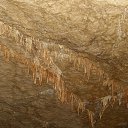 ���� ���������, ����, 46 ��� - ��������� 18 ������� 2014 � ������ ��������