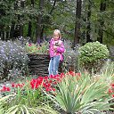 ���� ˸��, ������ �������� - ��������� 27 ������� 2014 � ������ ���� ����������