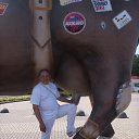  , -, 51  -  17  2015    