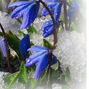  Natali,  -  1  2015   .