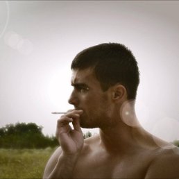 �������, ���������, 38 ���