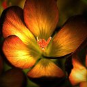 ���� �������, �����������, 61 ��� - ��������� 23 ����� 2015 � ������ ���� ����������