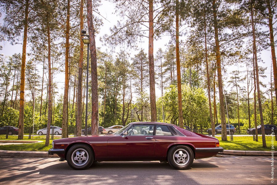 Jaguar XJS HE, 1983. : 260 /  100 /: 7.5  : ... - 7