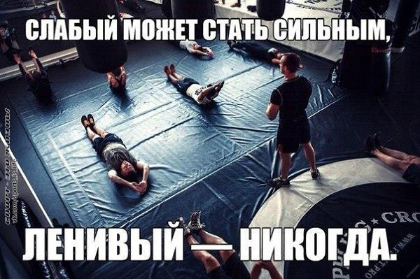    ! - 17  2015  08:40