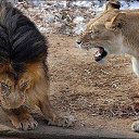 ���� ������, ����������, 58 ��� - ��������� 25 ������� 2015 � ������ ������ ��������