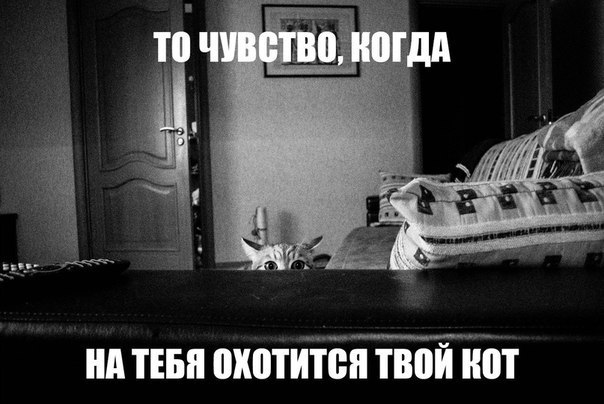       - 3  2015  20:03