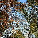 ���� ����������, ������� ��������, 63 ���� - ��������� 22 ������� 2014 � ������ �������