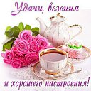 ���� �����, ����-�����������, 51 ��� - ��������� 25 ������� 2015 � ������ ����������� ��� ��������