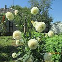 ���� �����, �������, 65 ��� - ��������� 19 ������� 2014