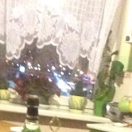 ��������, ������, 28 ���