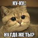 ���� Leon, ������ - ��������� 8 ������� 2015 � ������ �Umor!�