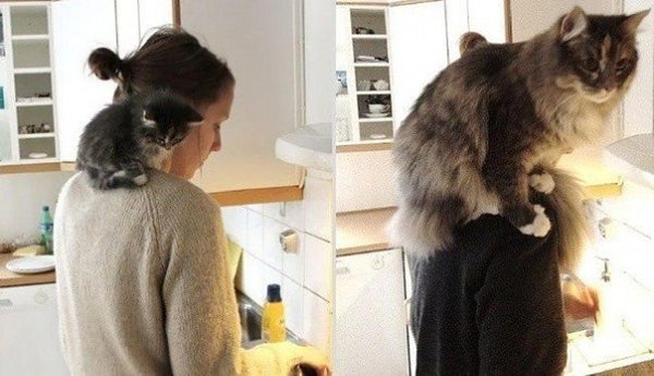 Они для нас – страница в жизни, а мы для них и есть вся жизнь - 8