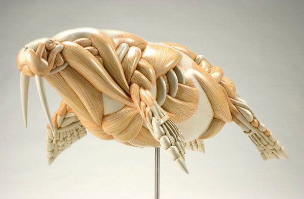 #Art@ofdesign.  Masao Kinoshita - 2