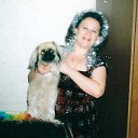 ���� ����, ����������, 71 ��� - ��������� 26 ������ 2015 � ������ ���� ����������