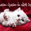 ���� Ksena, �������� - ��������� 29 ����� 2015 � ������ �������� ��������