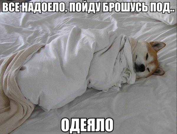 &bull;&bull;&bull;����� �����&bull;&bull;&bull; - 15 ����� 2015 � 22:41