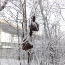 ���� Valka, ������, 63 ���� - ��������� 30 ������ 2015 � ������ ���� ����������