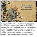 ���� �������, ���� - ��������� 8 ������� 2015