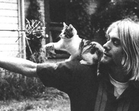    . -   ,  ,      .   ...