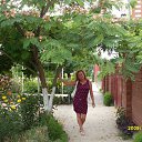  Sveta, , 53  -  2  2015    