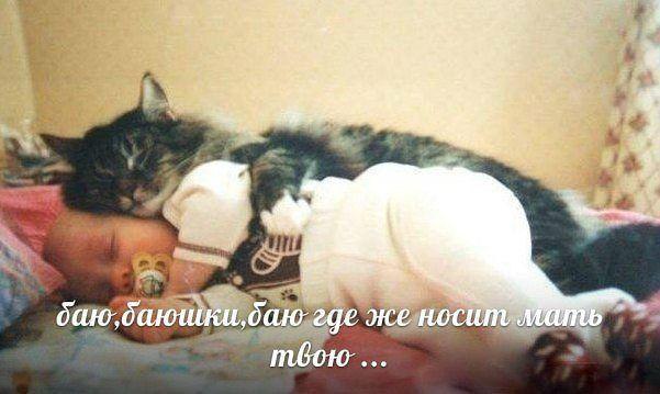   ,  : <a href=