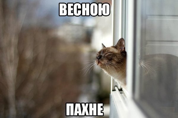  - 21  2015  23:01
