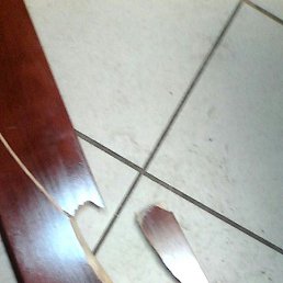 ���������, ����, 40 ���