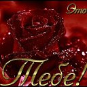  , , 64  -  25  2015      ,   !