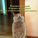  **,  -  1  2015    