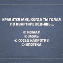 ���� ����, ����, 51 ��� - ��������� 15 ����� 2015 � ������ ������ ��������