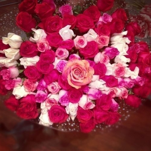 ������� | ���� 2016 | ������ | �������� | ������ - 4 ������ 2015 � 22:35 - 5