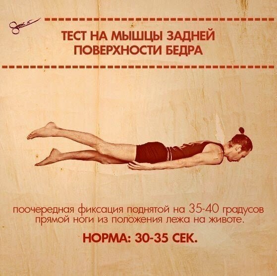 В вашей практике помимо упражнений на вытяжение должны обязательно присутствовать и силовые асаны. - 10