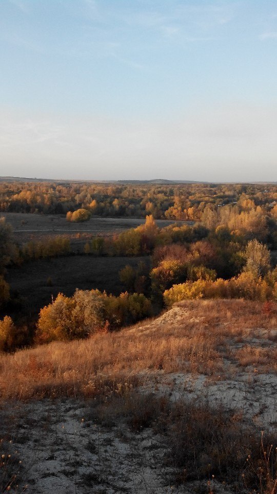 Ефремово-Степановка Тарасовский район Ростовская. Ефремово Степановка Тарасовский район Ростовской области. Степановка Тульская область. Миллерово Ефремово Степановка.