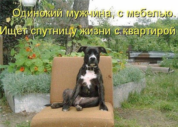 @ - 22  2015  03:32