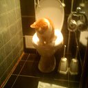 ���� ��������, ������, 75 ��� - ��������� 26 ������� 2015 � ������ ���� ����������