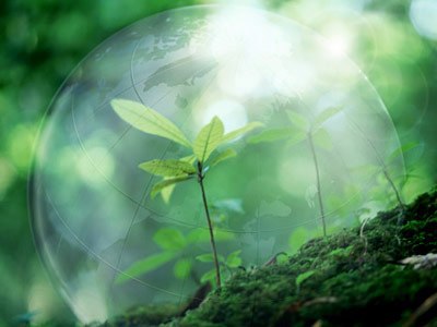 Слова на тему "Окружающая среда" Acid rain - кислотные дожди Alkalinity - щелочность Be ...
