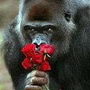   ,
 ,
 ,
 ,
 ,
  
  !
  
+7(962)709-0-511 (-).      ,   !