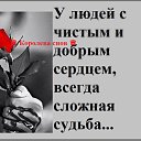 ���� ����, �����, 39 ��� - ��������� 29 ����� 2015 � ������ ������ ��������