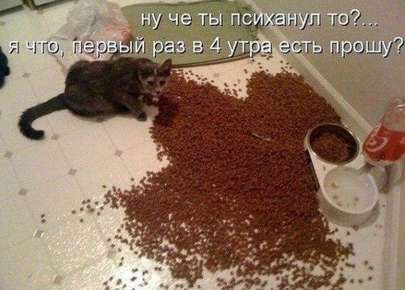    :-) - 23  2014  01:21