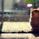 Day like a bubble �� ������� ���� ����������