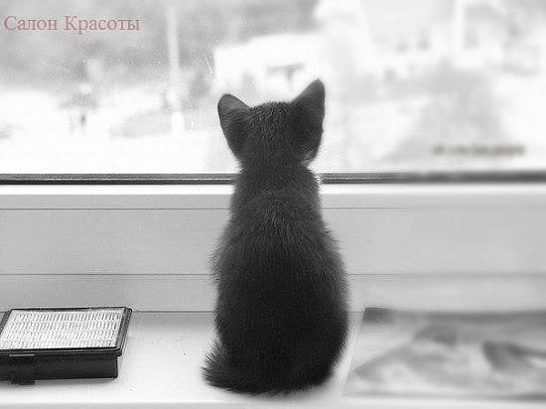 Самое сложное - это так долго ждать, и в самом конце узнать, что напрасно...