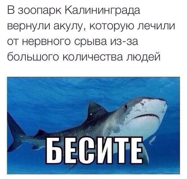     - 10  2015  06:04