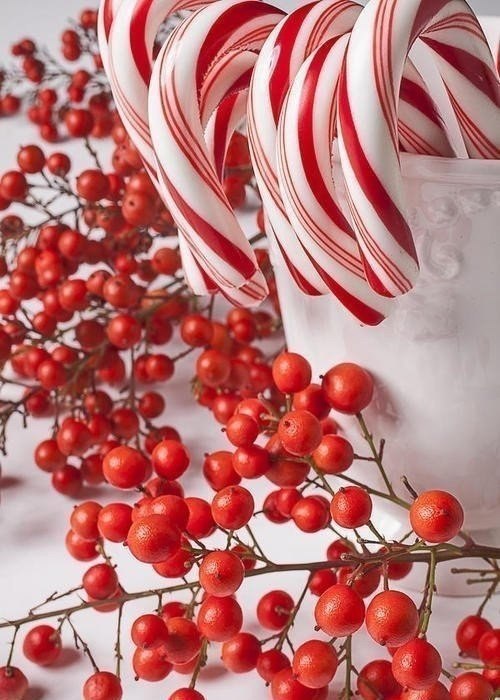 |В| Счастье есть... |В| - 27 декабря 2014 в 23:19 - 6