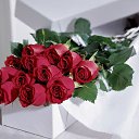 ���� Soul, ������ - ��������� 5 ����� 2015 � ������ ���� ����������